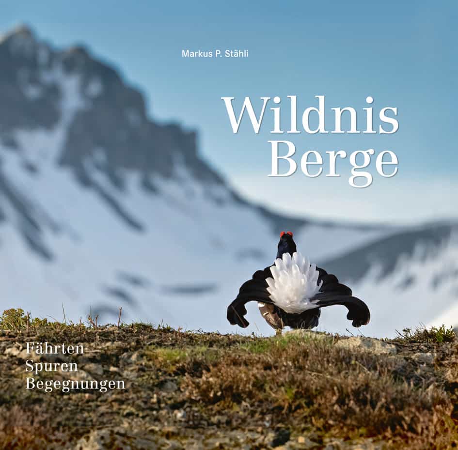 Buch-Neuerscheinung
«WILDNIS BERGE»