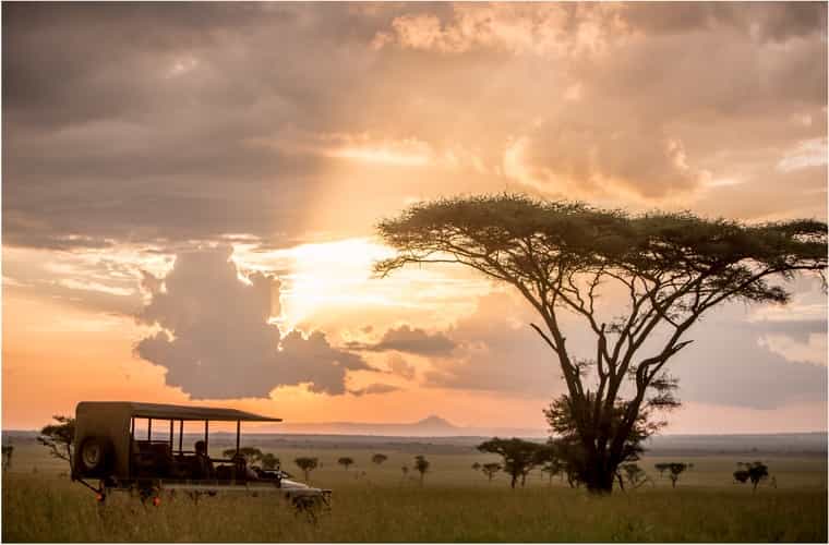 Exklusiver Fotosafari-Workshop «Serengeti»