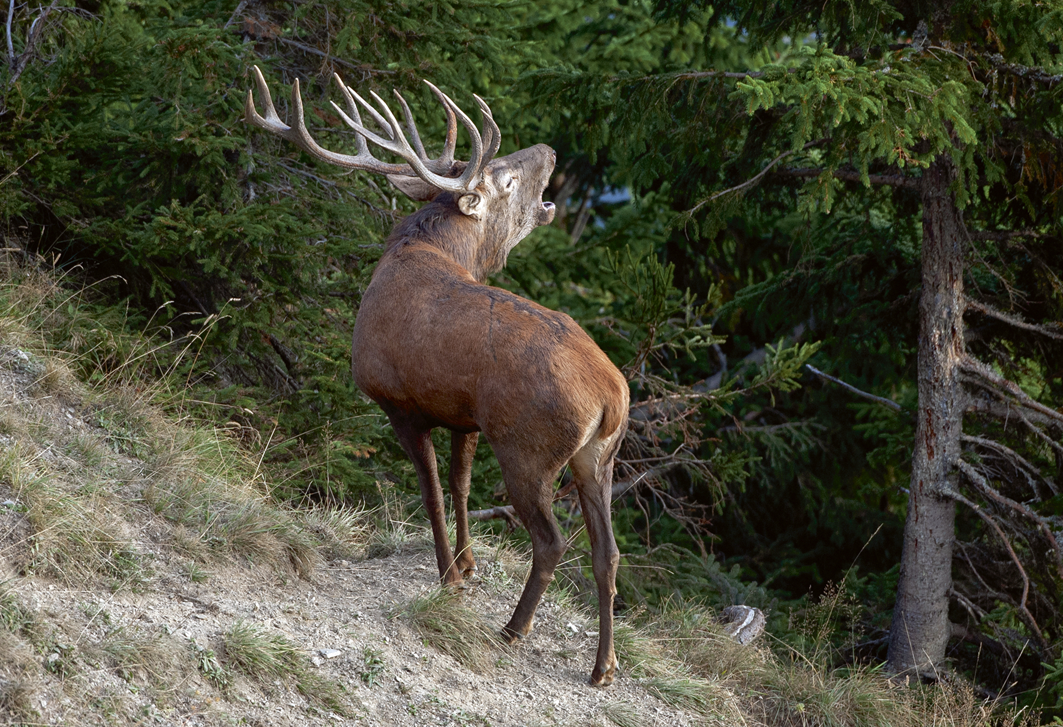 Bild des Monats SEPTEMBER